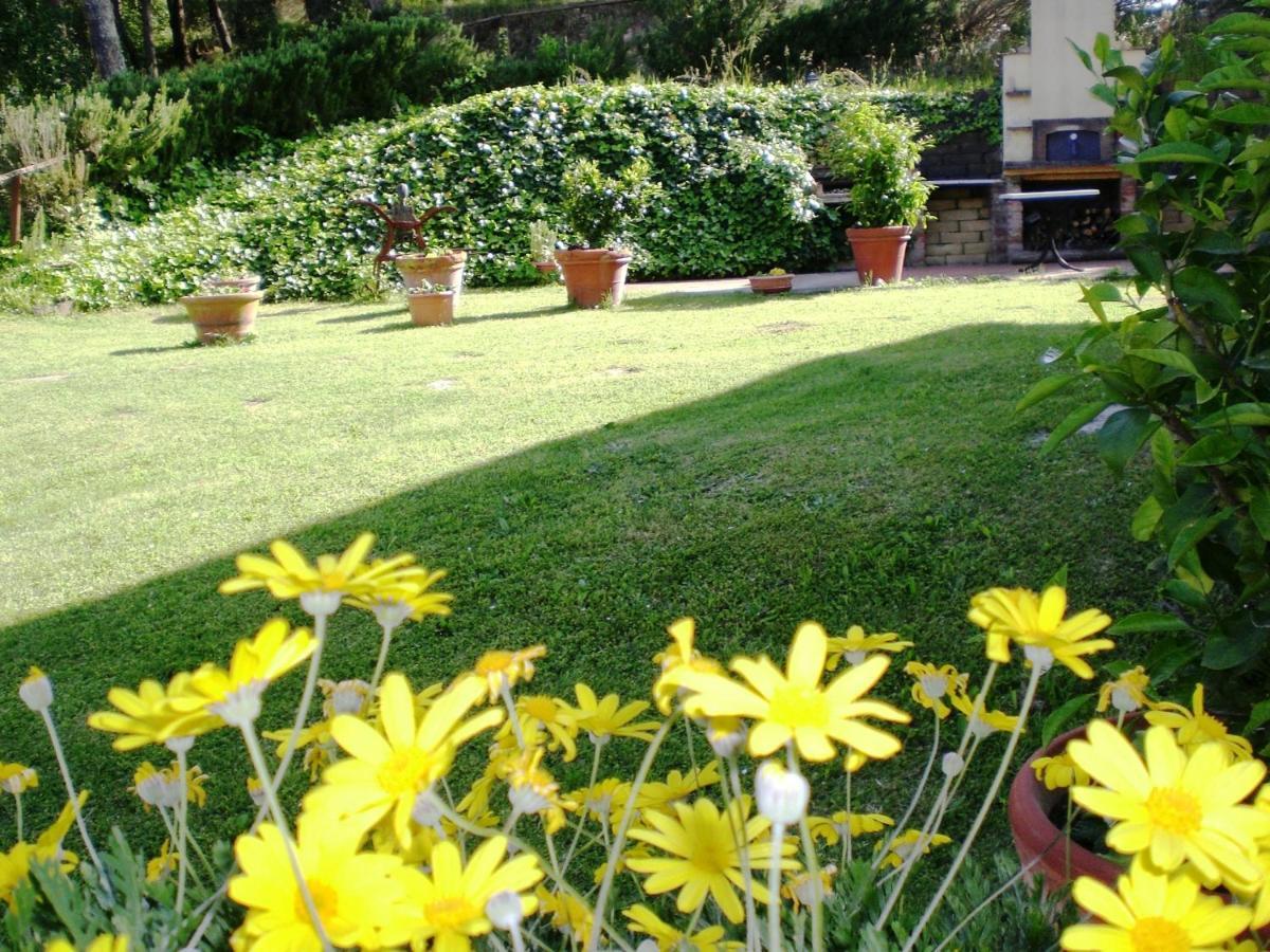 Agriturismo Santa Barbara San Miniato Zewnętrze zdjęcie